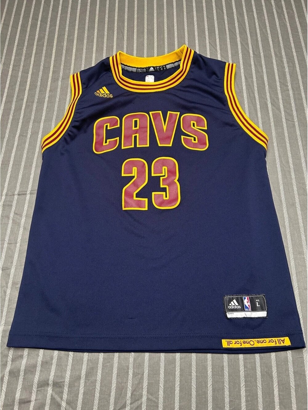 Adidas Cleveland Cavaliers LeBron James 23 Jersey Mens Large Blue Swingman Cavs